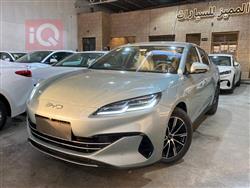 بي واي دي سيل 06 DM-i